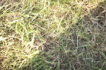 SBM_20220