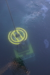 HSC016: ROV deployment
