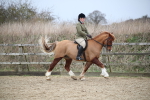 SBM_006044