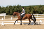 SBM_003747