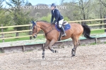 BPP_2434