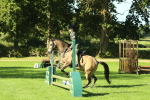 SBM_36508