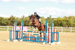 SBM_000733