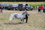 WJ6_7076