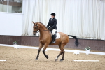 SBM_01550