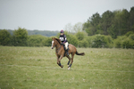 BVHT 140517  NXC -78