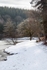 Winter at Mallards Pike - 5