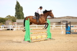 Class 7 - Senior  1.15m Open portfolio