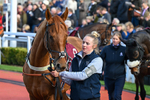 Race 3 portfolio