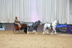 SBM_000668