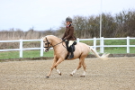 SBM_006794