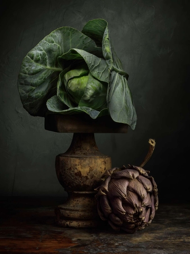 Still-life with Cabbage. Light-painted still-life, with a cabbage and dried artichoke. Lit with diffused torchlight.
