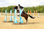 SBM_002699