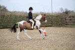 SBM_007937