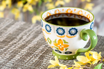 Coffee Break portfolio