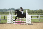 SBM_011661