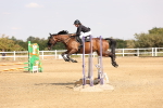 SBM_002173