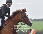 BPP_9010