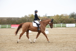 SBM_004530