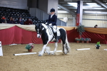 SBM_06486