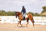 SBM_03666