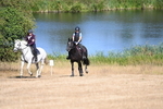WJ6_8117
