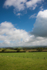 ACP_2449-2