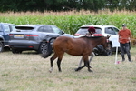 WJ6_6201