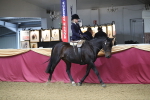 SBM_09390