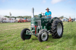 Guernsey Agricultural Show 2021-240