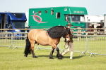 SBM_01591