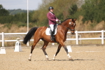 SBM_009772