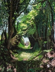 St Patricks Way, Raholp