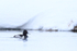 Ring-necked Duck (male), Yellowstone National Park, Wyoming