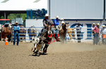 3HRodeo8-11-25_PRCASteer_05357_