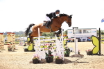 SBM_003913