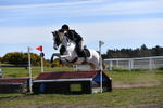 WJ5_6866