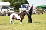 SBM_01998