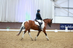 SBM_004855
