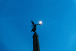 ANT_3069-1