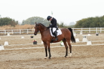 SBM_003887