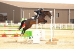 SBM_010913