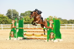 SBM_001651