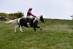 WJ5_5957
