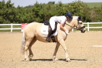 SBM_009084