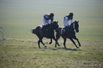 Vine & Craven Hunt Point-to-Point Barbury racecourse 24/02/18 portfolio