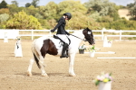 SBM_010713