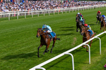 230526-Race 6-Pearl River-0620