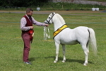 SIAL7969