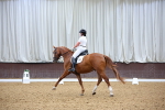 SBM_019255